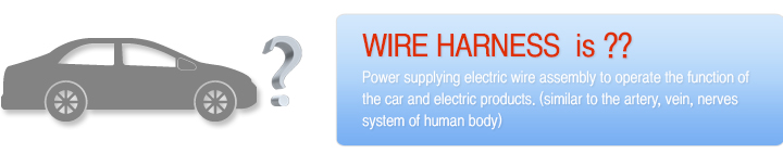 Power supplying electric wire assembly to operate the function of the car and electric products. (similar to the artery, vein, nerves system of human body)